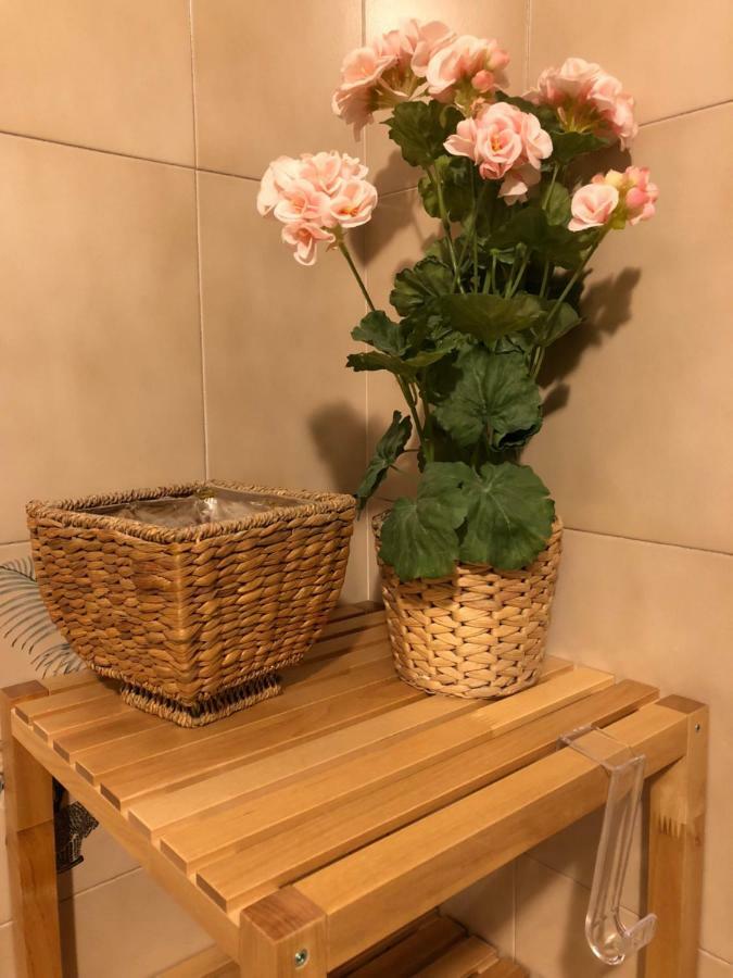 Da Paola Bed & Breakfast Pisa Exterior photo